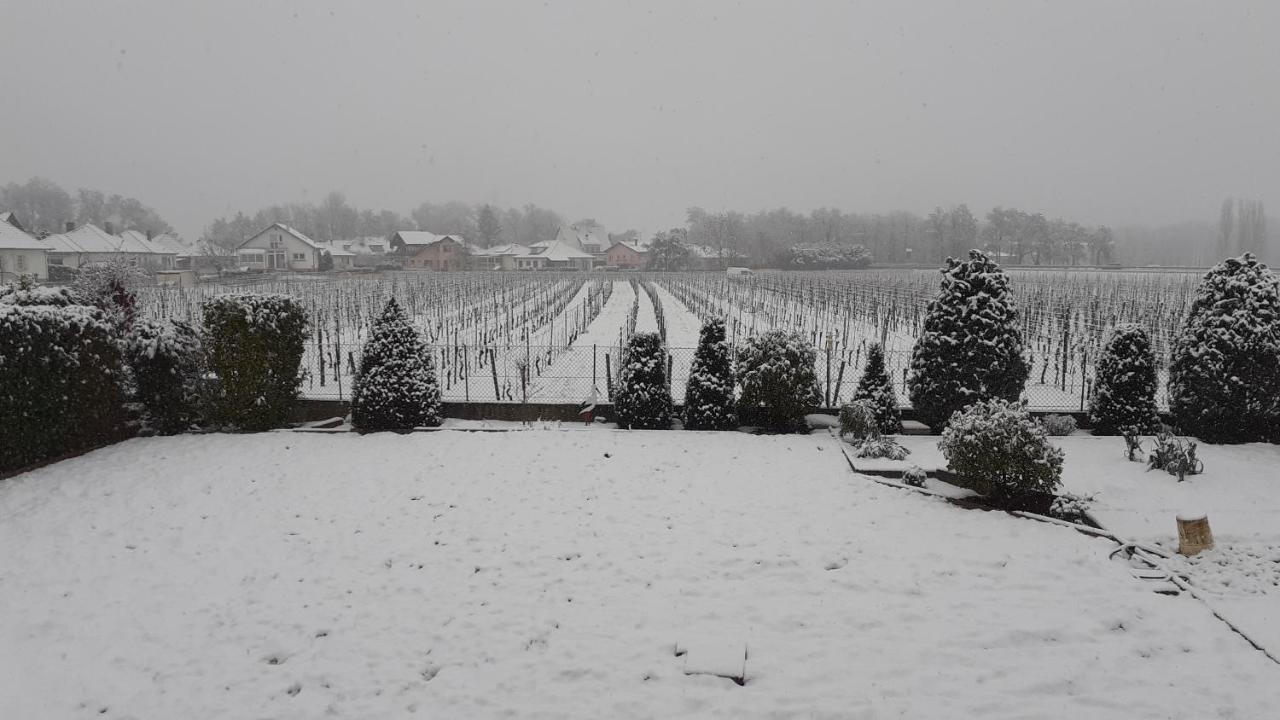 Aux Pieds Des Vignes Bed & Breakfast Ингерсайм Екстериор снимка