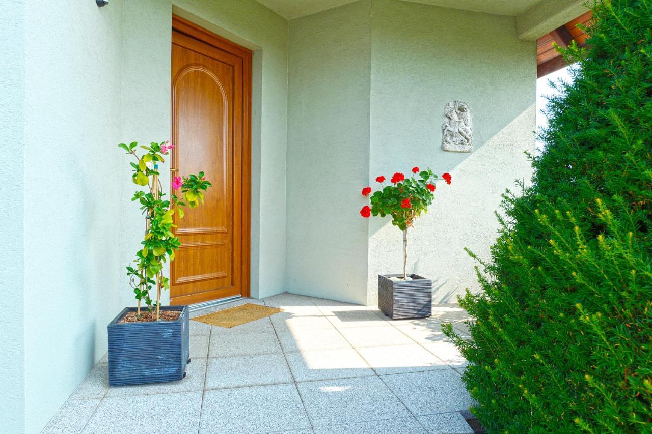 Aux Pieds Des Vignes Bed & Breakfast Ингерсайм Екстериор снимка