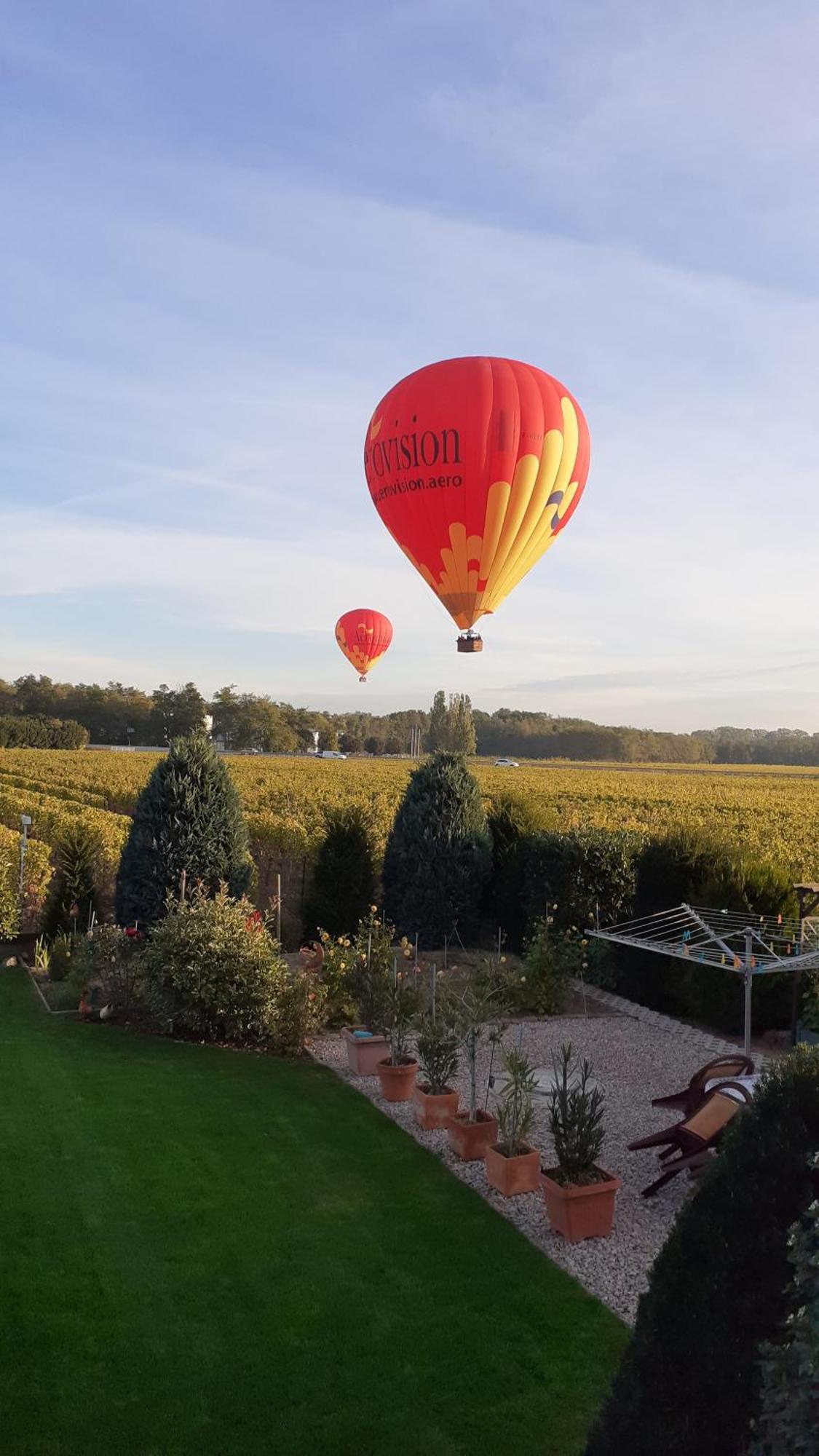 Aux Pieds Des Vignes Bed & Breakfast Ингерсайм Екстериор снимка